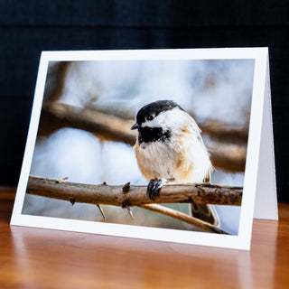 Angled view of a handmade notecard printed with a wildlife photograph of a chickadee perched looking at you on a tree branch