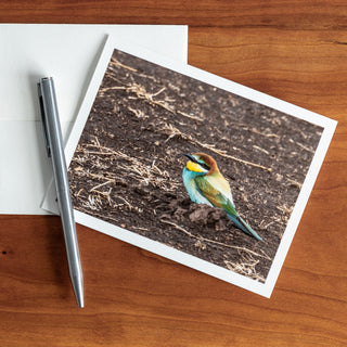 Front view of a notecard lying flat on a table with pen and envelope printed with a photograph of a European bee-eater 