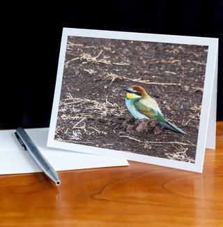 Angled view of notecard on a table with pen and envelope printed with photograph of European bee-eater sitting on the ground