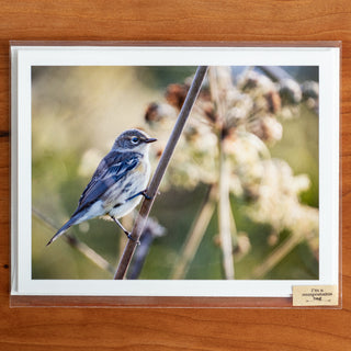 Notecard printed with a photograph of a perched yellow-rumped warbler in fall shown in transparent compostable packaging