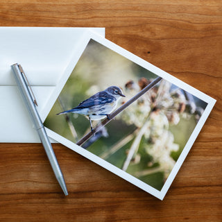 Front view of a notecard printed with photograph of a yellow-rumped warbler   lying flat on a table with pen and envelope 