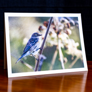 Angled view of a handmade notecard printed with a wildlife photograph of a fall yellow-rumped warbler perched on low brush 