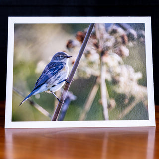 Front of a handmade notecard printed with a wildlife photograph of a yellow-rumped warbler in fall perched on low brush