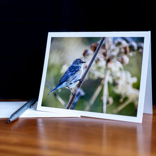 Angled view of a notecard on a table with pen and envelope printed with a wildlife photograph of a yellow-rumped warbler 