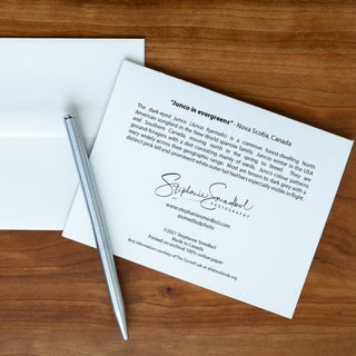 Back view of a dark-eyed junco wildlife notecard showing species description lying flat on a table with a pen and envelope