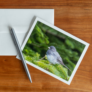 Front view of a notecard printed with a wildlife photograph of a dark-eyed junco lying flat on a table with pen and envelope