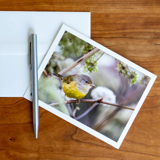 Front view of a notecard printed with a wildlife photograph of a mourning warbler lying flat on a table with pen and envelope
