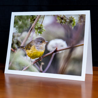Angled view of a handmade notecard printed with a wildlife photograph of a mourning warbler perched in brushy vegetation