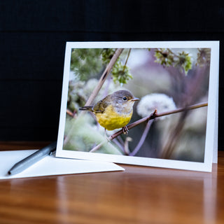 Angled view of a handmade notecard on a table with pen and envelope printed with wildlife photograph of a mourning warbler