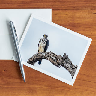 Front view of a notecard lying flat on a table with pen and envelope printed with photograph of a hawk-eagle against sky