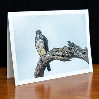 Angled view of a handmade notecard printed with a wildlife photograph of a hawk-eagle perched on branch against cloudy sky