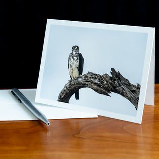 Angled view of notecard on a table with pen and envelope printed with photograph of a hawk-eagle perched against cloudy sky