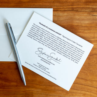 Back view of a common ostrich wildlife notecard showing species description and lying flat on a table with a pen and envelope