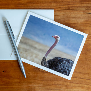 Front view of a notecard lying flat on a table with pen and envelope printed with photograph of a common ostrich
