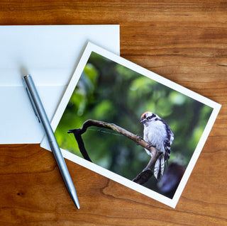 Front view of a notecard lying flat on a table with pen and envelope printed with photograph of a downy woodpecker