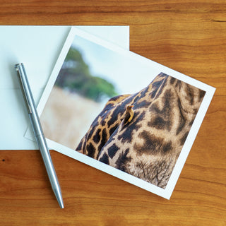 Front view of a notecard lying flat on a table with pen and envelope printed with photograph of a bird on side of a giraffe