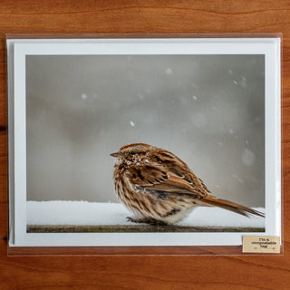 Notecard printed with a photograph of a song sparrow in a snow storm shown in transparent compostable packaging