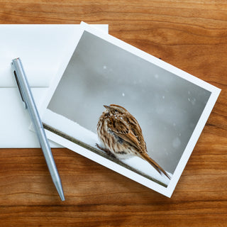 Front view of a notecard lying flat on a table with pen and envelope printed with photograph of a song sparrow in the snow