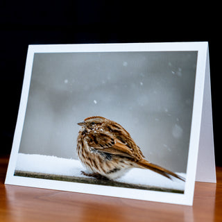 Angled view of a handmade notecard printed with a wildlife photograph of a song sparrow sitting on a railing in a snow storm