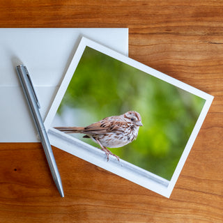 Front view of a notecard lying flat on a table with pen and envelope printed with photograph of a song sparrow on metal fence