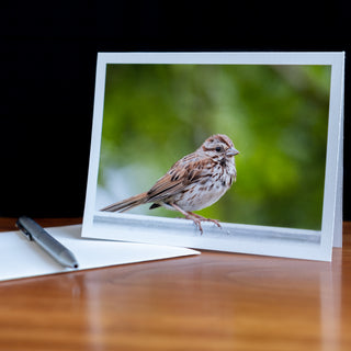 Angled view of a notecard on a table with pen and envelope printed with wildlife photograph of a song sparrow on metal fence