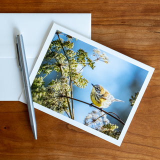Front view of notecard lying flat on a table with pen and envelope printed with photograph of a yellow-rumped warbler in sun