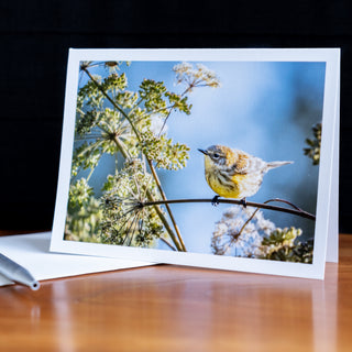 Angled view of notecard on a table with pen and envelope printed with wildlife photograph of a yellow-rumped warbler in sun